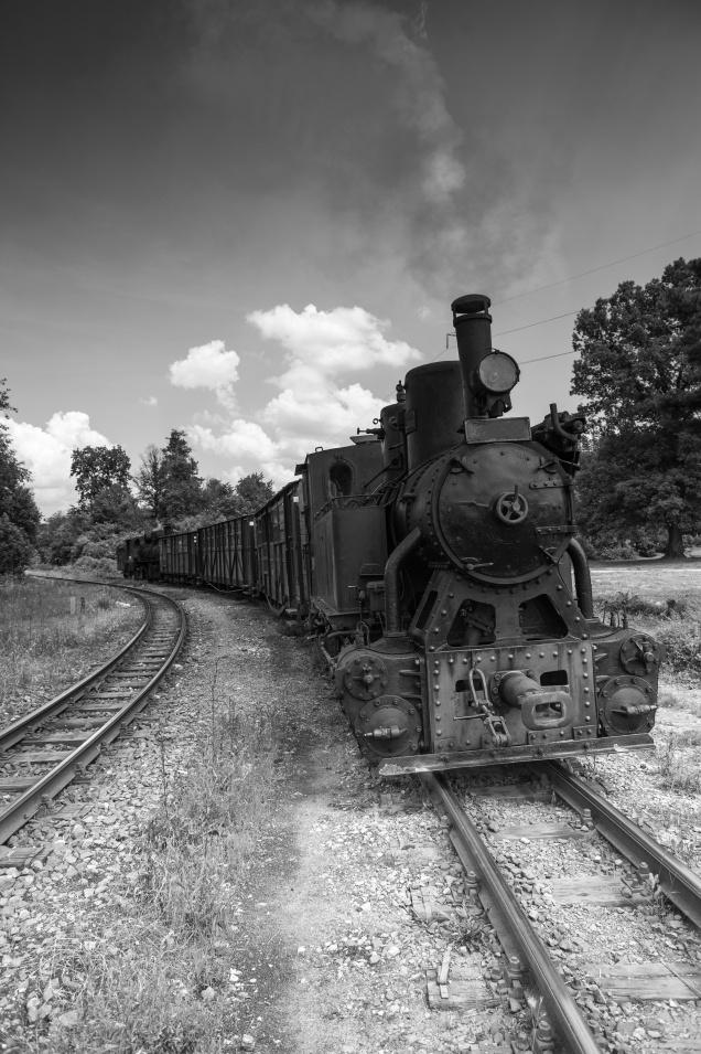 On the Rails - Art Print